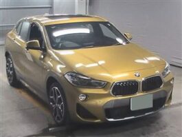X 2 SERIES 2019 GOLD COLOR