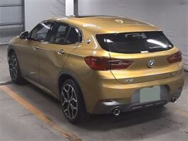 X 2 SERIES 2019 GOLD COLOR