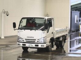 ELF 2017 WHITE COLOR