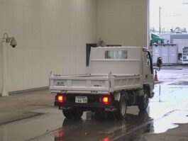 ELF 2017 WHITE COLOR