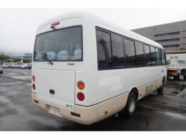 ROSA, MINIBUS, 2017, TWIN COLOR