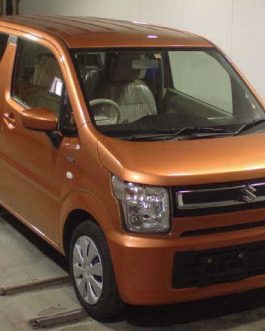 WAGON R 2018 BRONZE COLOR