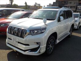 Land Cruiser Prado 2021 Pearl