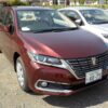 Premio F Ex 2019 Red Wine - Image 5