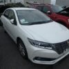 Premio F Ex 2019 Pearl - Image 10
