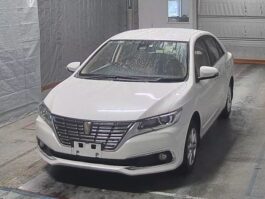 Premio F Ex 2019 Pearl