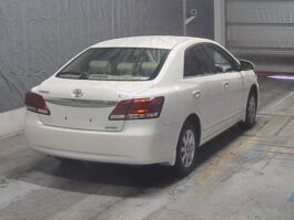 Premio F Ex 2019 Pearl