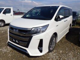 Noah WXB Pearl Hybrid 2019