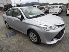 Axio X Hybrid 2017 Silver