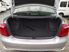 Axio X Hybrid 2017 Silver