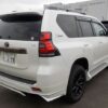 PARADO TXL 70TH ANNIVERSARY 2021 PEARL - Image 9