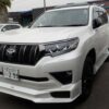 PARADO TXL 70TH ANNIVERSARY 2021 PEARL - Image 6