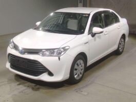 Axio hybrid X 2017 White