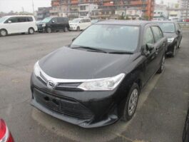 Axio Non hybrid X 2018 Black