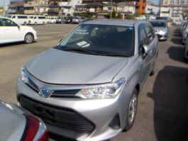 Fielder X hybrid 2018 Silver