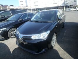 FILDER X HYBRID  BLACK COLOR 2018