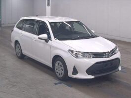 Fielder X 2018 White