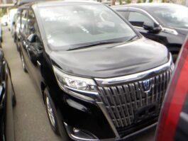 Esquire Premium hybrid 2018 Black