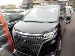 Esquire Premium hybrid 2018 Black