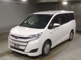 Noah X Hybrid 2018 Pearl