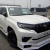 Prado TXL 2023 Pearl