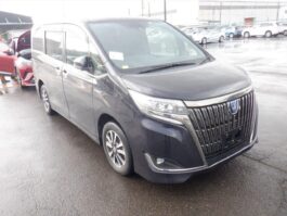 Esquire GI Premium hybrid 2020 Purple