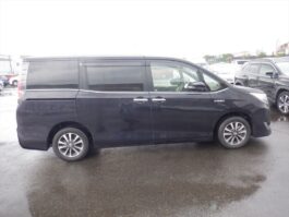 Esquire GI Premium hybrid 2020 Purple