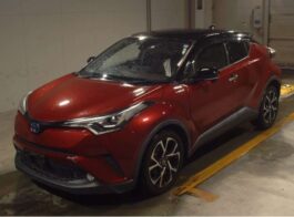 CHR G  Led 2 Tone 2018 Wine