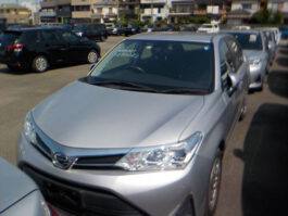 Axio X Non Hybrid 2018 Silver