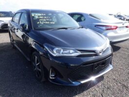 Axio G WXB 2018 Wine Push