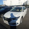 Premio F Ex 2020 Pearl
