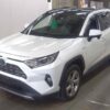 Rav4 hybrid G 2019 Pearl