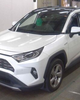 Rav4 hybrid G 2019 Pearl