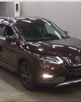 Nissan X Trail Non hybrid 2020 Wine