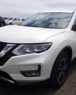 Nissan X Trail Non hybrid 2019 Pearl