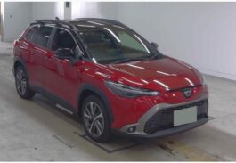 Corolla Cross 2024 Wine Twin