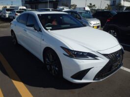 Lexus ES300H 2019 Pearl