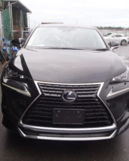 Lexus NX300h 2020 Black