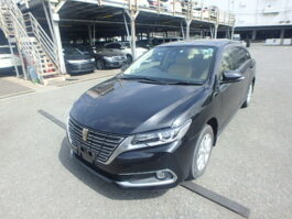 PREMIO F EX 2019 BLACK