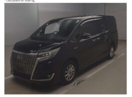 Esquire XI Push 2019 Black