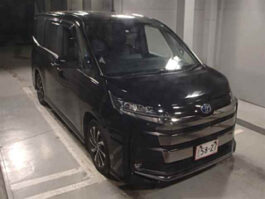 Noah ZS Black Hybrid 2022