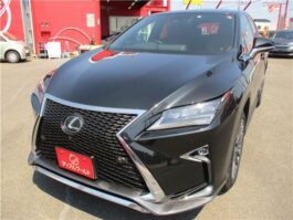 Lexus RX 300 Black 2019