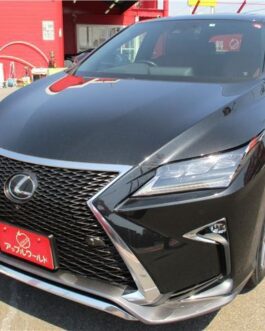 Lexus RX 300 Black 2019