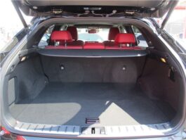 Lexus RX 300 Black 2019