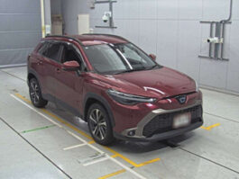 TOYOTA COROLLA CROSS 2021RED WINE COLOUR