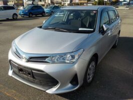 FIELDER EX 2019 SILVER NON HYBRID