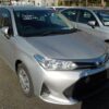 FIELDER EX 2019 SILVER NON HYBRID