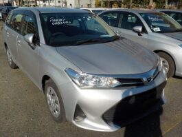 FIELDER EX 2019 SILVER NON HYBRID