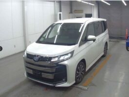 Noah S Z Package 2022 Pearl