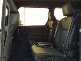 Noah S Z Package 2022 Pearl